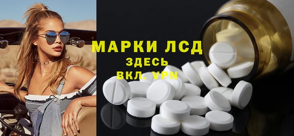 прущие грибы Зеленокумск