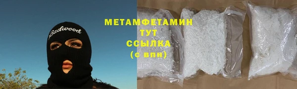 прущие грибы Зеленокумск