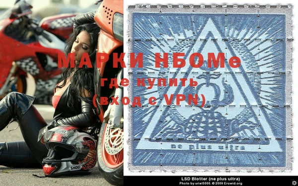 прущие грибы Зеленокумск
