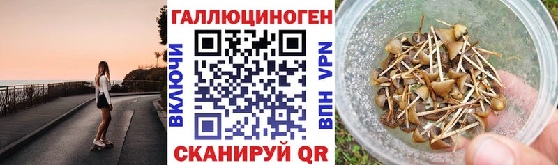 Купить закладки  Боровск  Галлюциногенные грибы MAGIC MUSHROOMS 