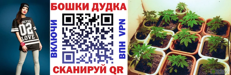 Бошки Шишки тримм  Купить где  Боровск 